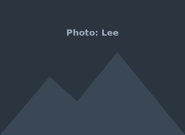 Lee in the mountains